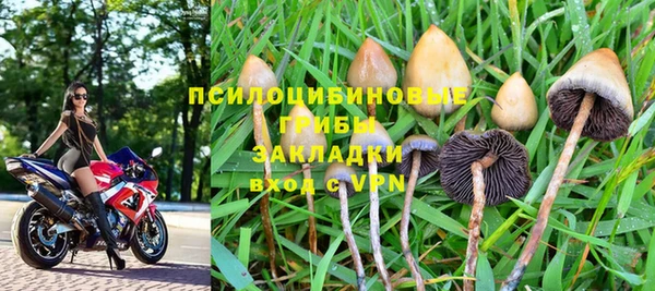 спиды Сатка