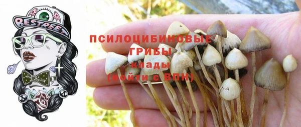 мдма Дмитриев