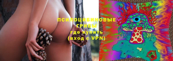 мдма Дмитриев