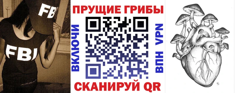 МЕГА зеркало  Зубцов  Псилоцибиновые грибы GOLDEN TEACHER  где купить наркоту 